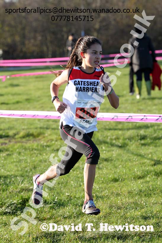Girls under-15s North Eastern Cross Country Chanpionships. Photo: David T. Hewitson/Sports for All Pics